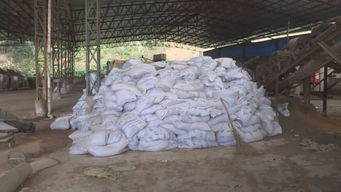 平和 責(zé)令眾興畜禽無害化處理公司立即整改