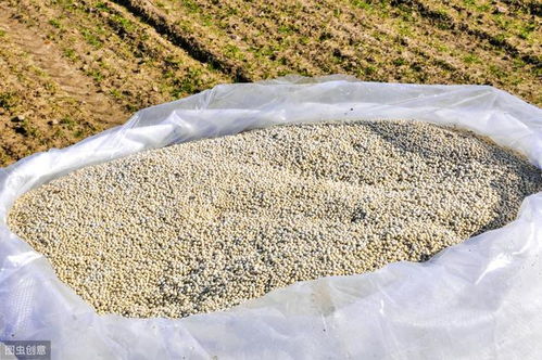 警惕 國家根本不承認(rèn)這種肥料,可有人卻在大肆宣傳 到底什么情況