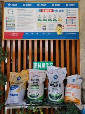 &ldquo;富島翔燕中國化肥增值行動&rdquo;走進(jìn)新疆增值肥料助力新疆農(nóng)業(yè)發(fā)展