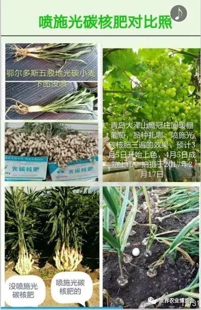 首屆黃淮海農(nóng)資英雄榜揭曉 春秋季農(nóng)作物高產(chǎn)配套肥料品牌產(chǎn)品上榜名單暨觀摩展示 40家