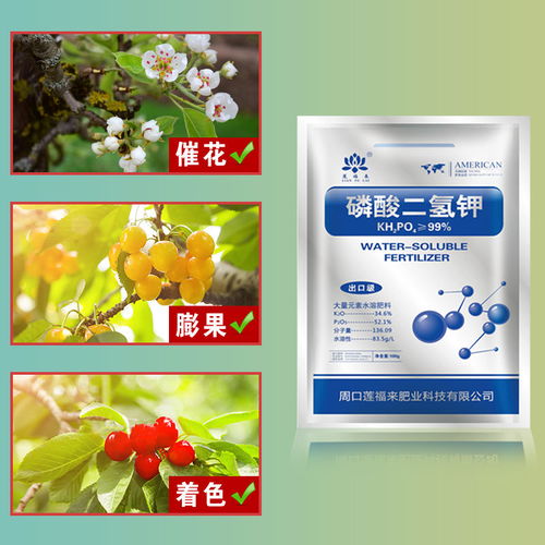正品葉面肥 通用型花卉肥料，促花促果，家用大包裝包郵首選